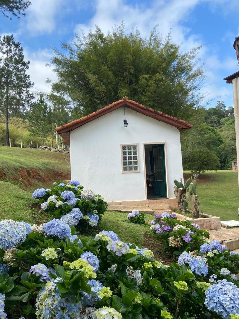 Recanto Das Borboletas São Roque Pokój zdjęcie